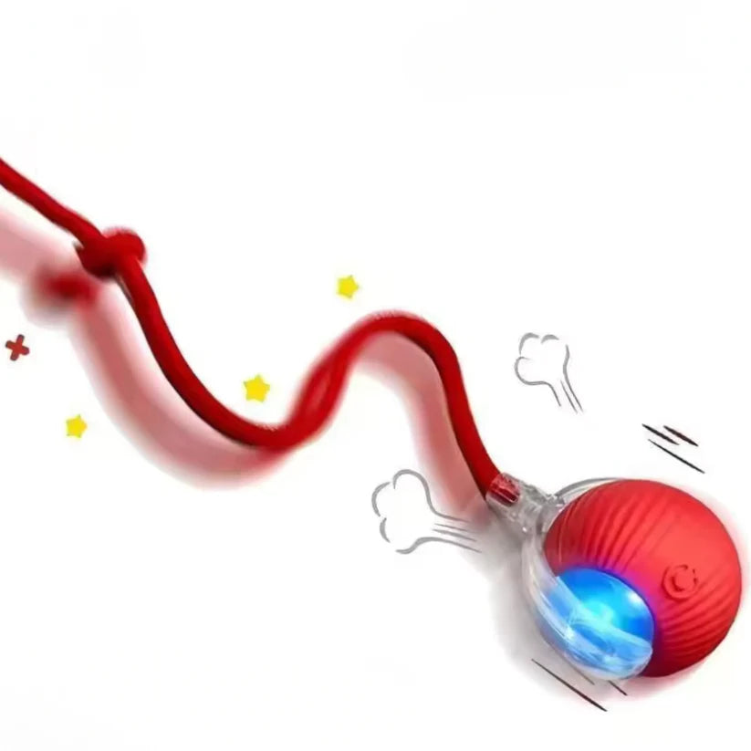 Jouet Interactif
