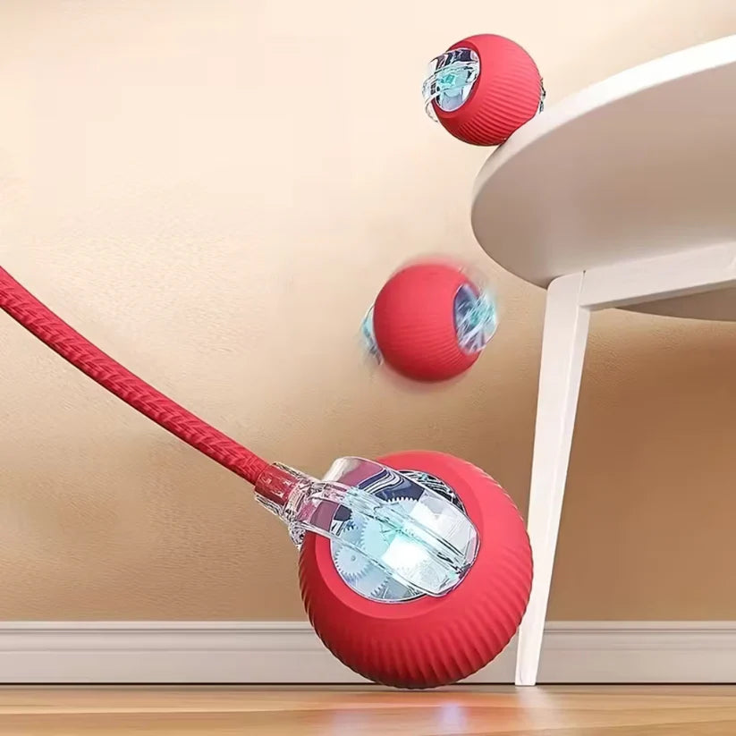 Jouet Interactif