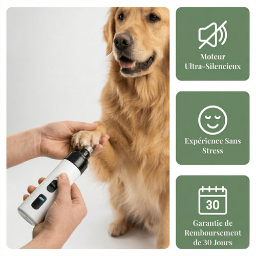 Lime à Griffes Silencieuse