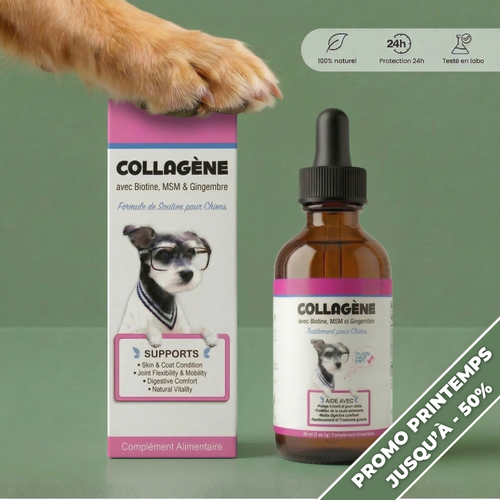 Collagène Premium Anti-Démangeaison