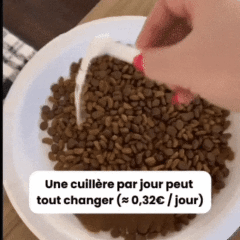 VitaTaurine+ - N°1 Recommandé par les Vétérinaires