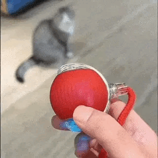 Jouet Interactif