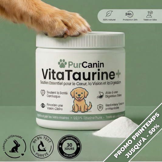 VitaTaurine+ - N°1 Recommandé par les Vétérinaires