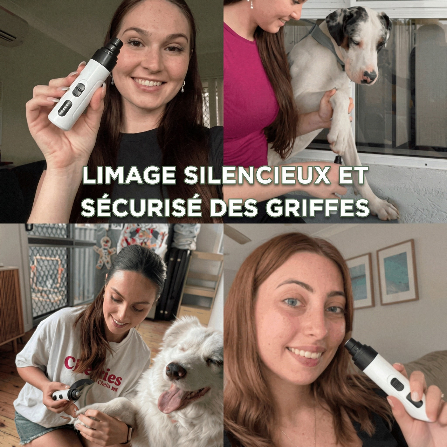 Lime à Griffes Silencieuse